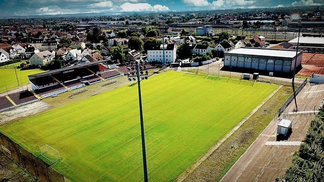 了惊人的团 了惊人的团