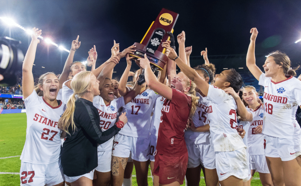 荷兰占据了 荷兰占据了